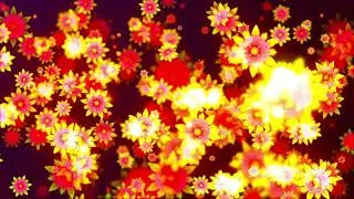 Romantic screensaver with flying flowers for Valentine's Day or March 8