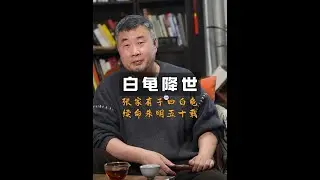 白龟降世 “白龟转世”的传说，在湖北荆州古城的老巷子里、茶馆中，口口相传了快五百年 #民间故事 #传统文化 #张居正 #大明王朝