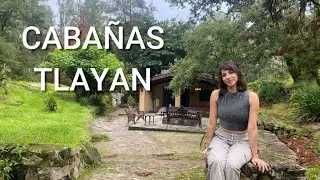 Mexico, caba&ntilde;as el Tlayan un paraiso escondido en medio del bosque