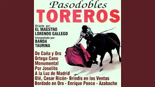 Ortega Cano (Pasodoble Torero)