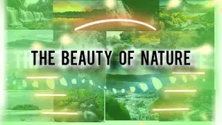 The beauty of nature| save nature|save life|