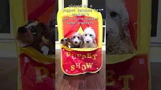 Puppet Show