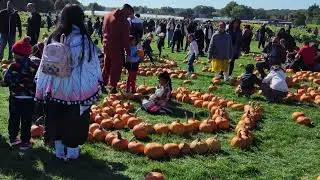 8K F & W Schmitt family farm  There is an imposter among us at the pumpkin patch. October 9, 2022