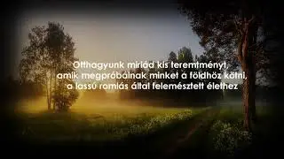 Pink Floyd - High Hopes (Magyar felirattal)