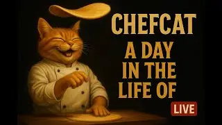 ⭐ 2. &ldquo;Relax & Watch Cat Chef Cook 🍔 | Calm Live Stream | Soothing Background Music&rdquo;