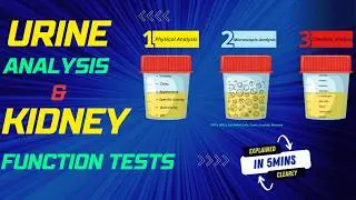 How to Tell if Your Kidneys are Failing (Early Warning Signs)