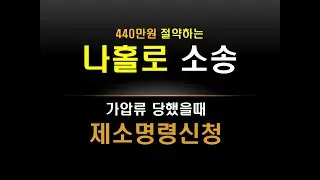 나홀로 소송 제소명령신청