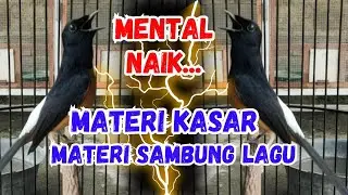 100%Pancingan Murai Batu GACOR AMPUUH menjadikan murai batu cepat gacor bunyi EMOSI