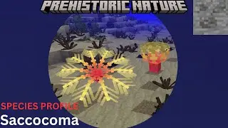 Prehistoric nature - Saccocoma species profile