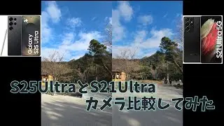 【スマホ】ガラケーからS25Ultraに変えたのでS21Ultraとカメラ比べてみた