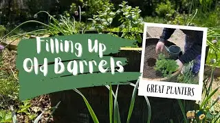 How To Fill Up Half Wine Barrel Planters
