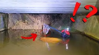 橋下の深い水底の泥を掬うと謎の生物が眠っていた！？【琵琶湖ガサガサ探検記151】