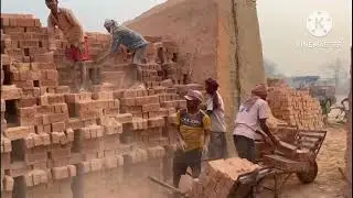 rose bricks lene ke liye sampark Kare or comment Kare