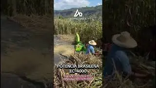 Ensiladora Brasile&ntilde;a EC-4000: &iexcl;Potencia Diesel! 🚜#picadora #ensilaje #Ensiladora #agricultura