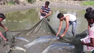 Most Amazing & Unbelievable Big Pond Fishing Video 2023 || Every One Should Watch This Fishing Video