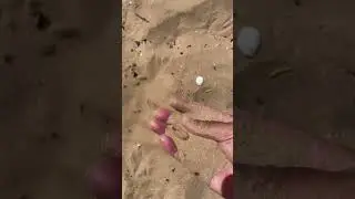 very smooth and soft sand at Flamingo beach in UAE