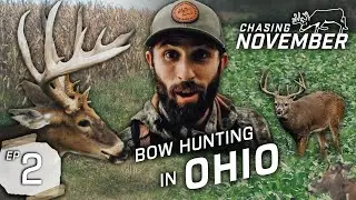 The Fall Buck Shift Is In Full Swing, Speed Scouting For Early Season Bowhunting In Ohio #hunting