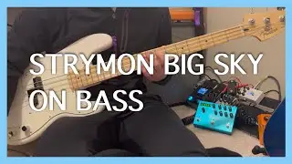 Strymon Big Sky Sounds on Bass