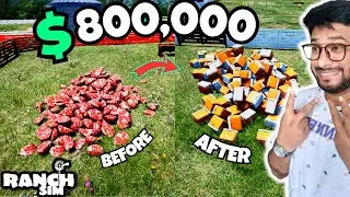 THIS IS HOW WE BECOME RICH ($ 800,000) DOLLER IN RANCH SIMULATOR #65