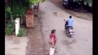 CCTV Footage of gold chain robbery in india