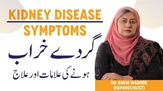 Gurde Kharab Hone Ki Alamat - Kidney Disease Symptoms & Causes - Gurde Ki Bimari Se Kaise Bachen