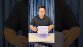 Foldable Insulated Food Cover Review, 3 Shiok Bears cool and fun kitchen tools for easy living
