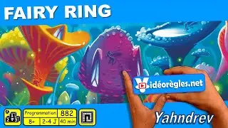 Vidéorègle 