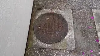 マンホール殺虫第三弾！グロ注意！！