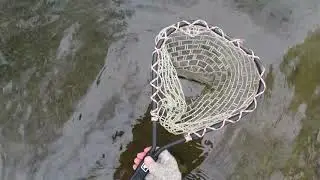 European Nymphing for Brown Trout