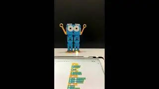 Marty and the Cha Cha Slide