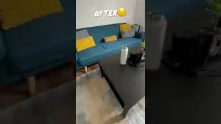 #freshandclean