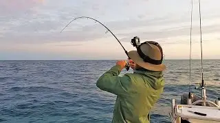 Panic shopping fisherman style (catch, clean, cook)