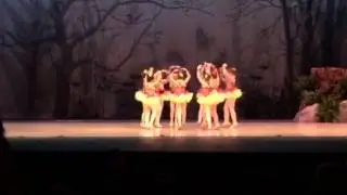Brianna's ballet dance Hakuna Matata