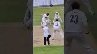Record Breaking Innings