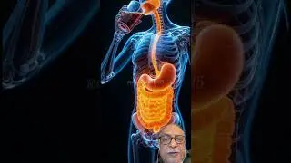 Science in motion, Robotic Man drinking #3dscience #bodyinmotion #science #digestiveprocess #mukbang