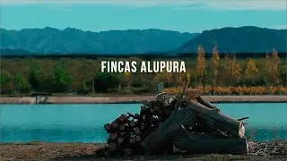 ALUPURA - Ecosustainable Wine Community