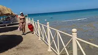 LOW TIDE RED SEA HURGADA EGYPT HOTEL EL KARMA AQUA BEACH RESORT ODLIV MOŘE #redsea