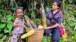 Harvesting giant thorny bamboo shoots for sale. Daily life of a single mother