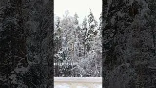 КРАСОТА