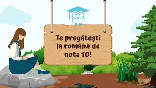Română la Școala de Vară Upper.School | Cum te pregătești pentru Evaluarea Națională