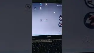 Xentry problem