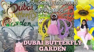 #hridya #butterflygarden Dubai Butterfly Garden ||Visiting Place Dubai|| ബട്ടർഫ്‌ളൈ ഗാർഡൻ കാഴ്ചകൾ