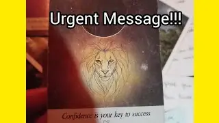 You caught their attention 💯 Keep going 💫 #tarot #fortunetelling 