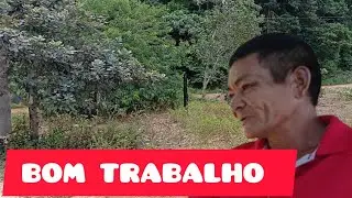 NOSSO TRABALHO HOJE FOI NA FAZENDA #naturezasurpreendente 