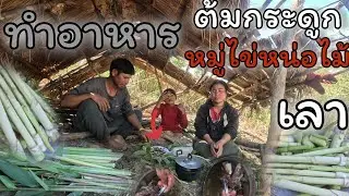 1มกราคม ค.ศ. 2026พาเมียเข้าป่าทางป่าทำไร่ทำอาหารต้มกระดูกหมูไช้หน่อไม่เลาอร่อยมาๆบ่าวเปือก