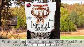 Whitetail Institute's Imperial EDGE Food Plot Seed Blend - THE DEER LOVE IT!
