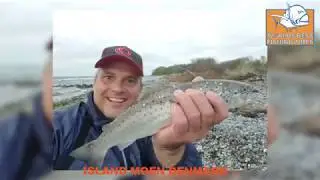 Island Moen Denmark