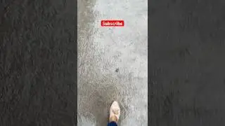Rain rain everywhere rain☔️🌧️#rain #weather #cyclone #dana #beyondhorizonsquest #shorts #viralvideo