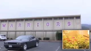 High School Smells Like Pot From Nearby Cannabis Greenhouses