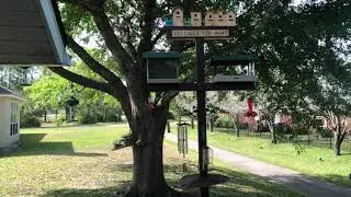 Chickadee House